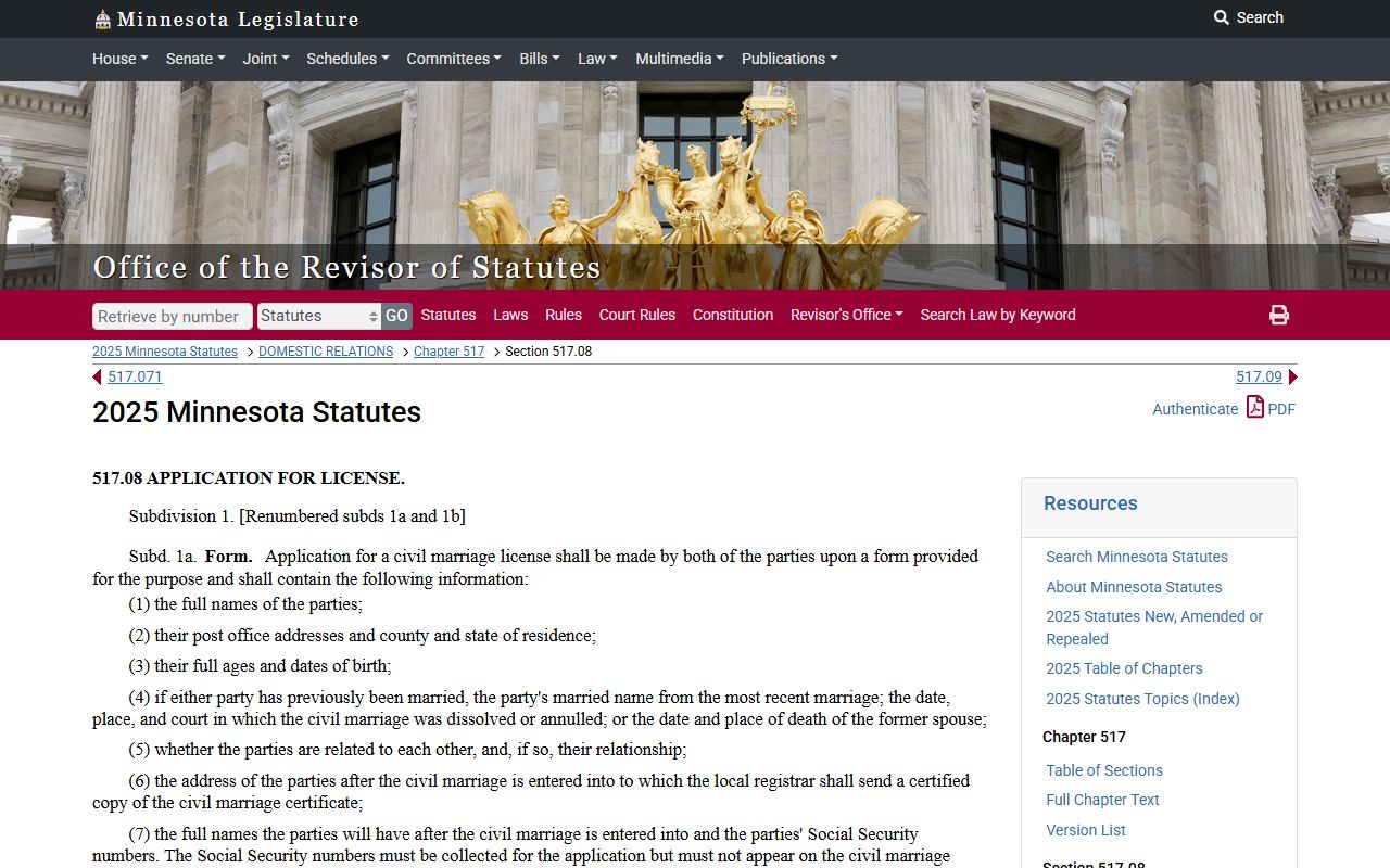 Dakota County marriage statutes marriage license application